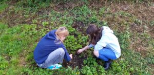 Read more about the article „Wir begreifen Boden” – Spannender Workshop an der digiMS 2 Bad Goisern